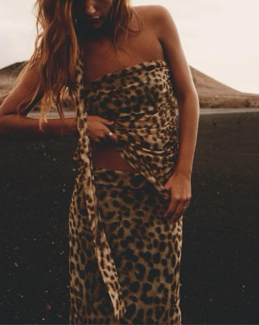 Viral Zara Cheetah Top And Skirt Set - Image 1