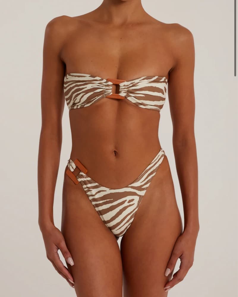 SAME Zebra Bikini - Image 1
