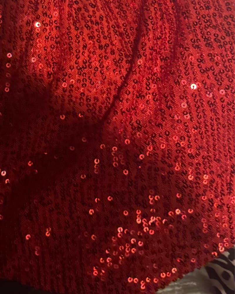 Red Sequins Matching Skirt Top Set  - Image 3