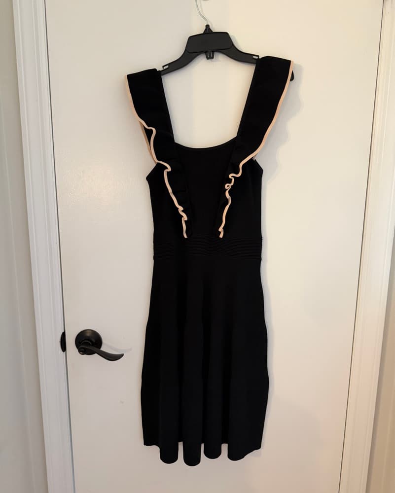Sandro Dress - Image 4