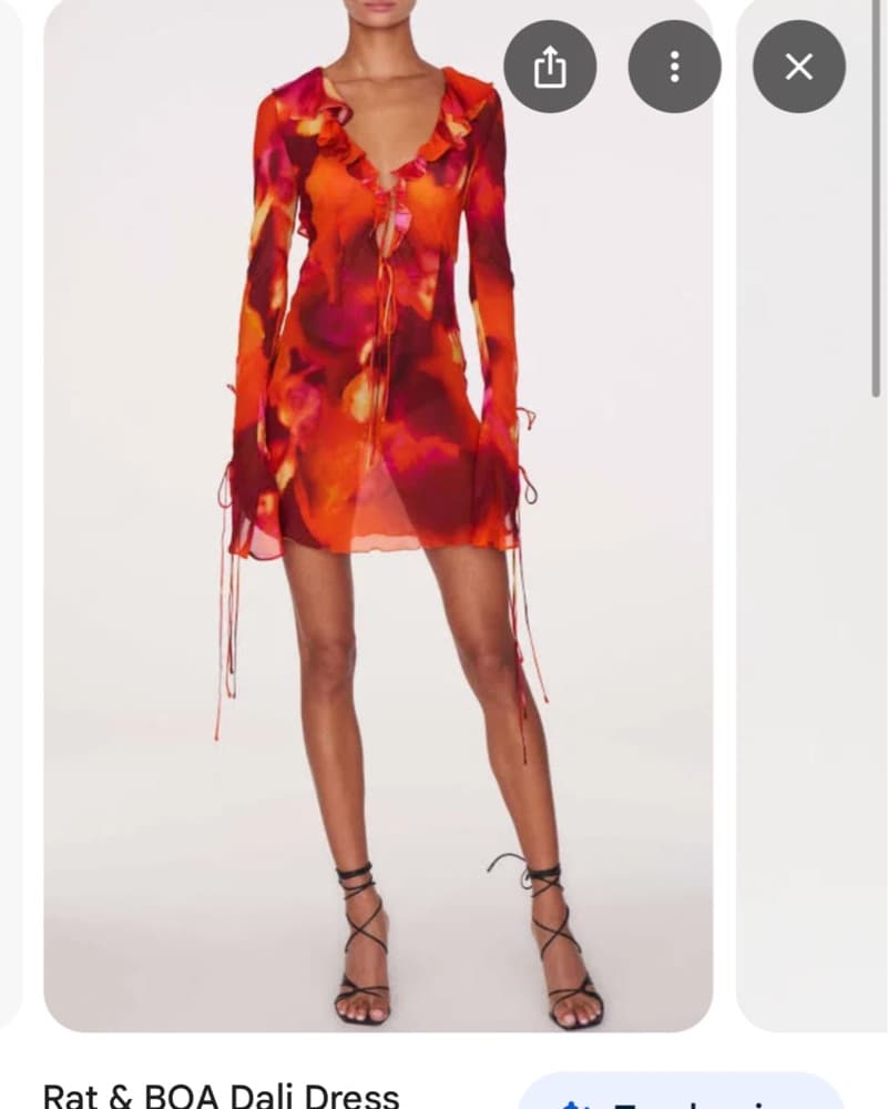 Rat And boa Dali Dress - Image 4