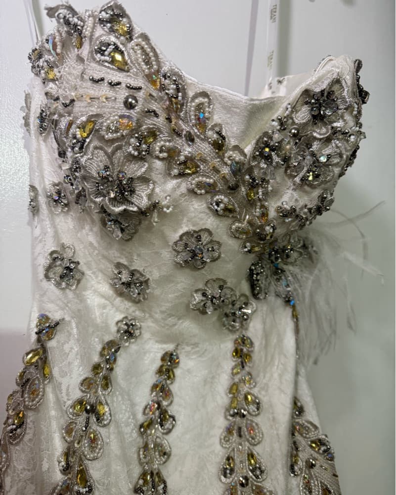 Dazzling Embellished Champagne Tulle Dress - Image 3