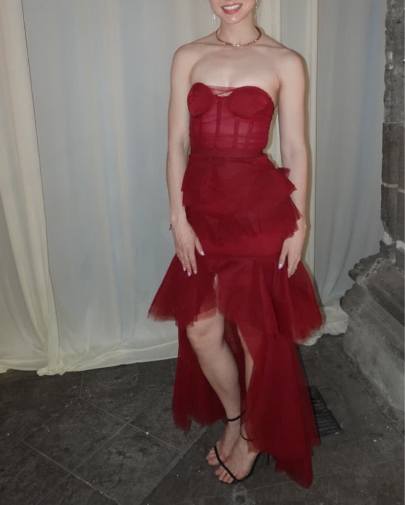 Michael Costello X Revolve Alai Gown - Image 3