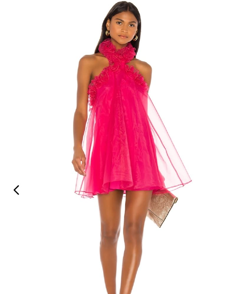 Lovers and Friends Mini Dress - Image 3