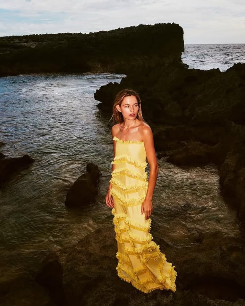 Alexis Yellow Long Gown  - Image 4