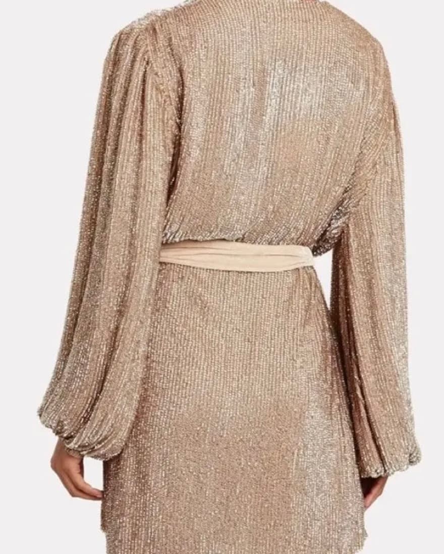 Gabriel Gold Retrofete Dress - Image 2