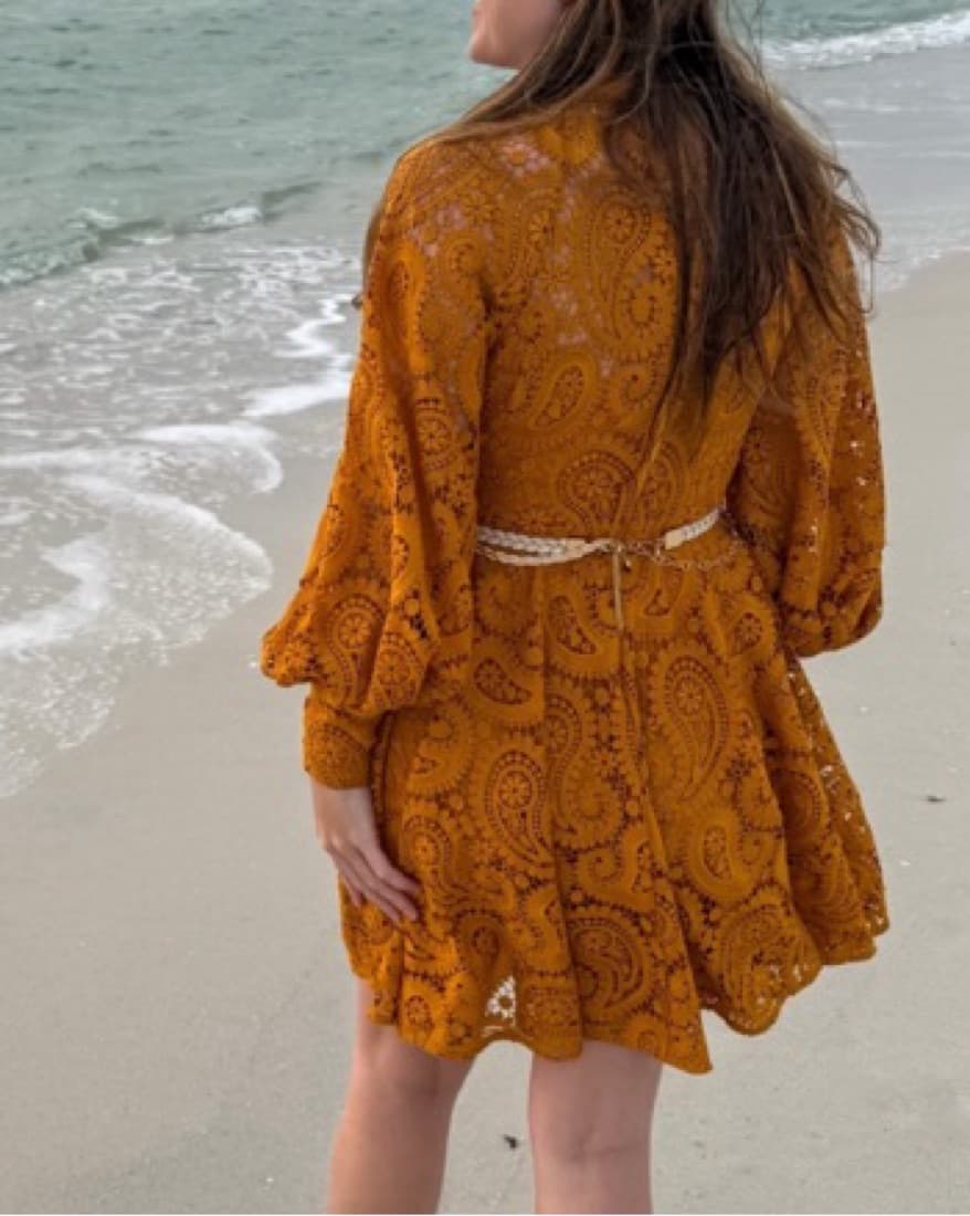 Zimmermann Anneke Lace Paisley Dress - Image 5