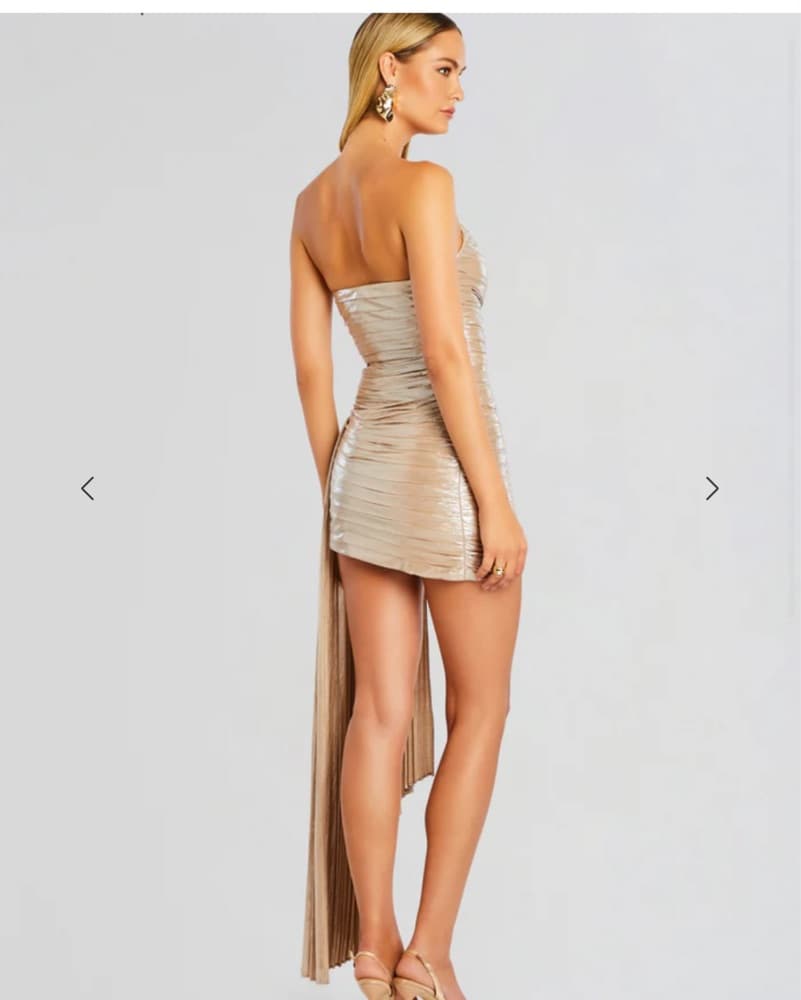 Champagne Retrofete Danielle Mini Dress - Image 3