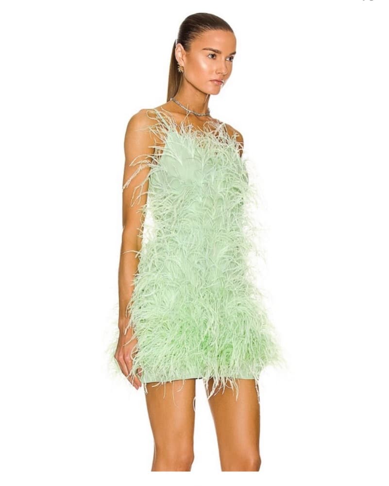 Cult Gaia Feather Mini Dress - Image 3