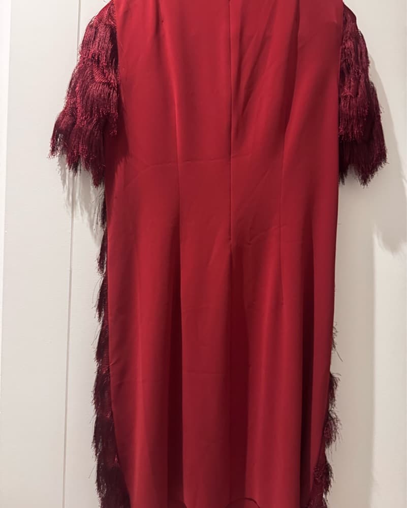 Luxurious Fringed Burgundy Dress - Image 5