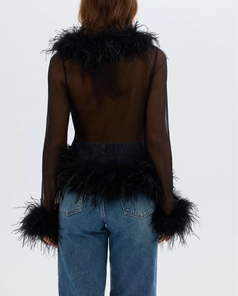 Bubish Gigi Sheer Feather Blouse  - Image 3