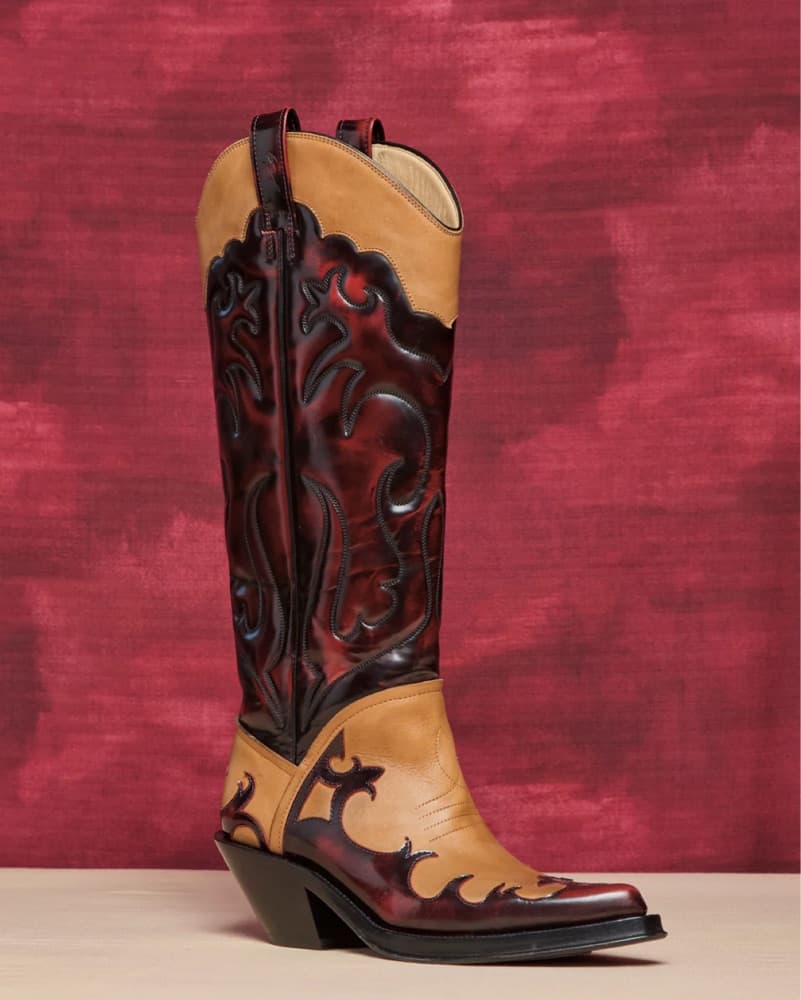 gabriela hearst capitana cowboy boots - Image 1