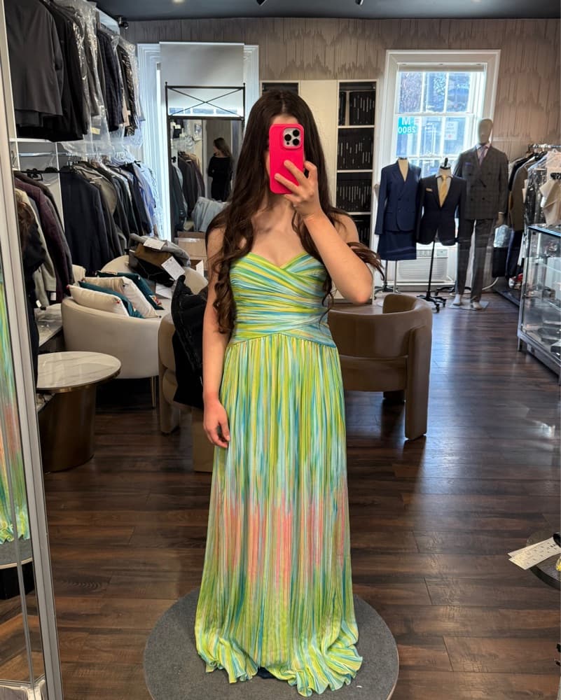 ML Monique Lhuillier Mila Chiffon Gown!  - Image 1