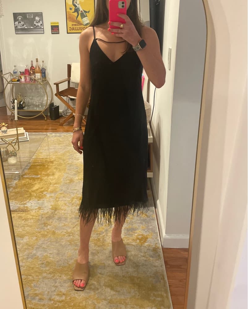 Bailey 44 Midi Dress Feather Trim - Image 2