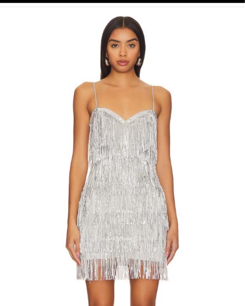 Revolve mini Silver Sequin fringe Dress  - Image 1