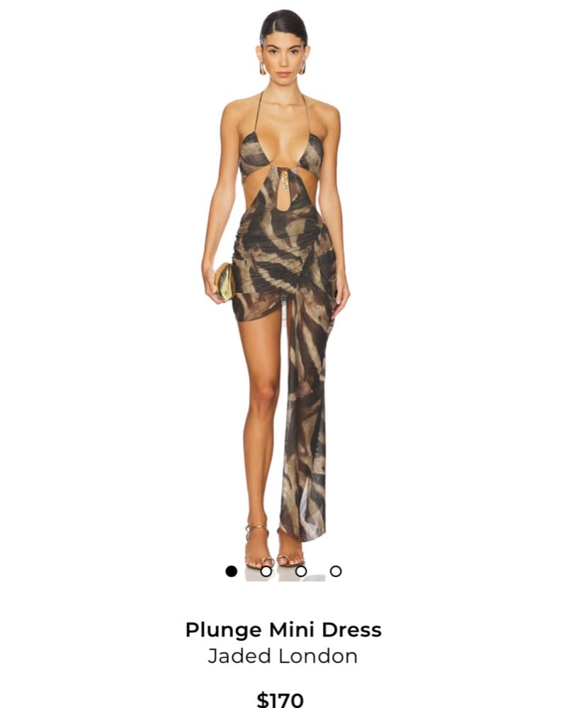 Revolve Leopard Dress  - Image 1