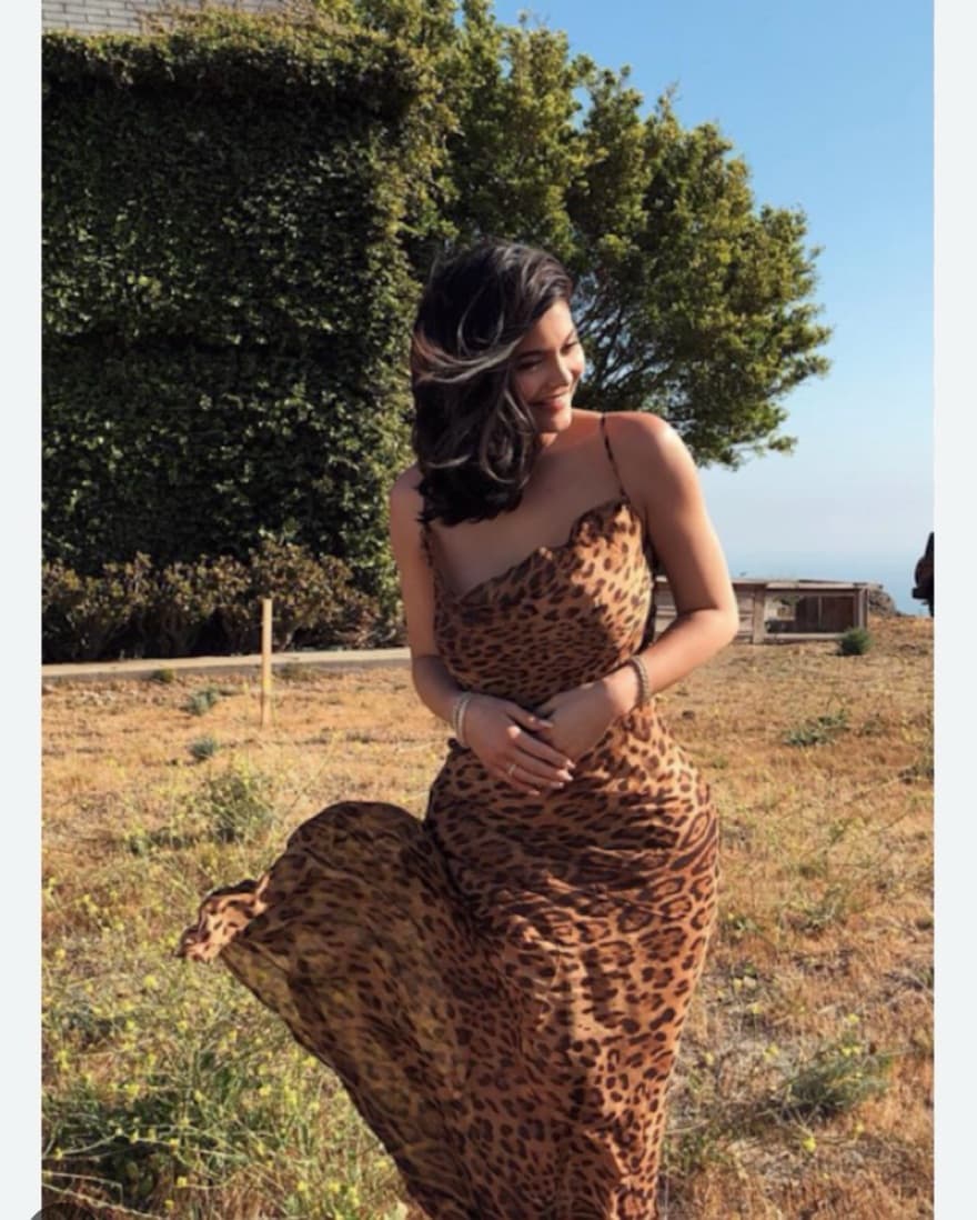 Rat and Boa Valentina Dress  - Image 4