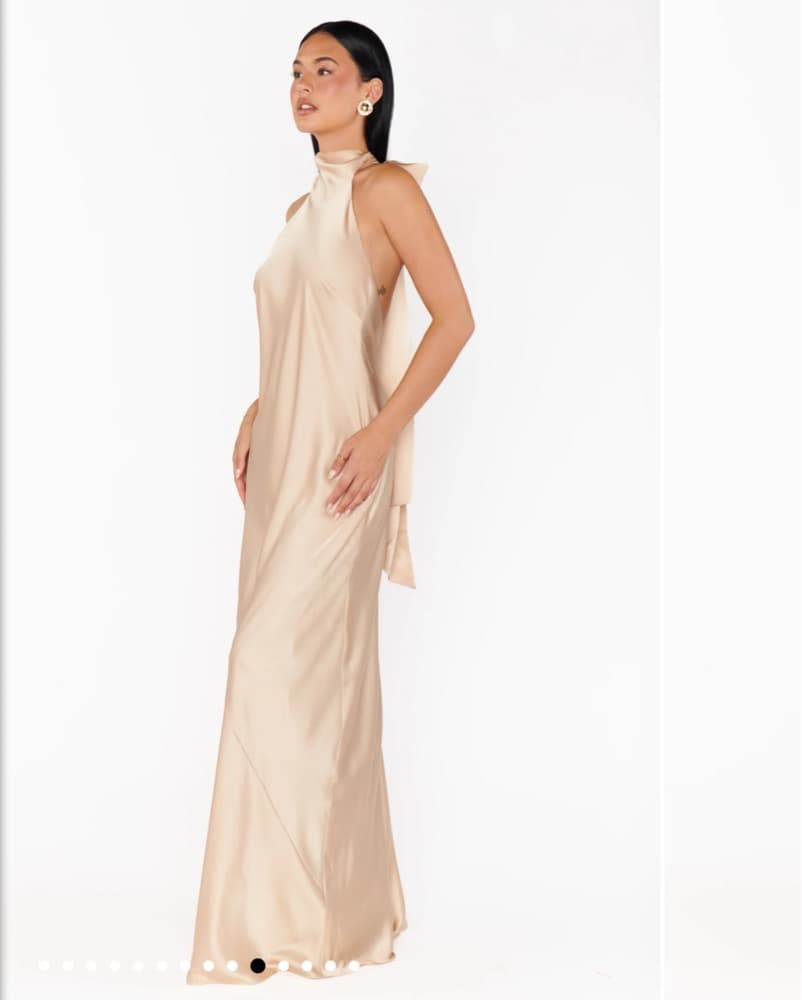 Show Me Your Mumu Lisa Maxi Dress - Image 2