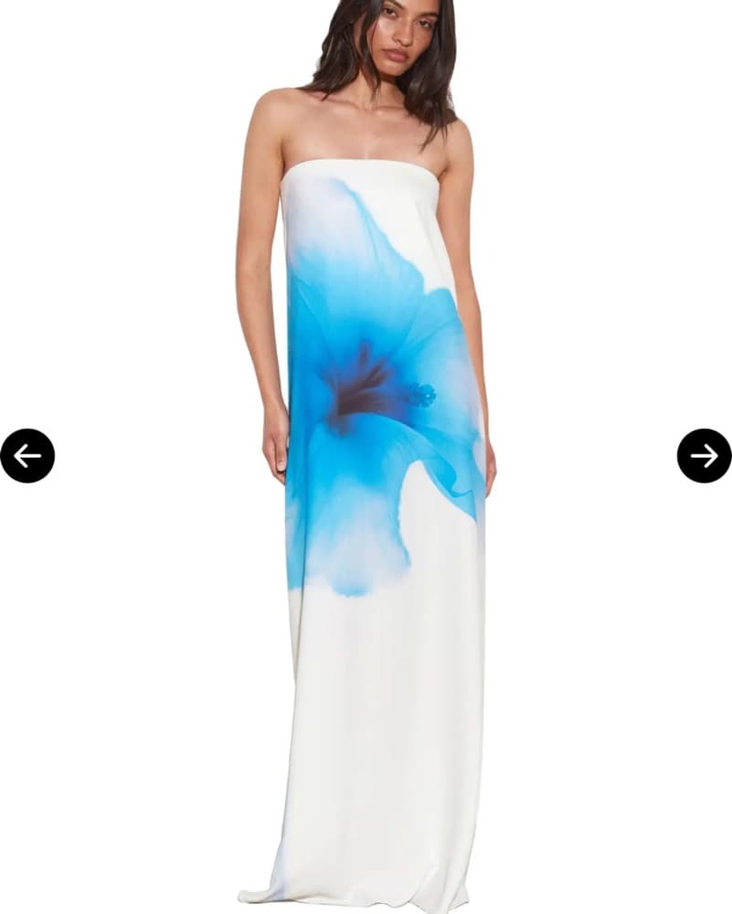 Rat & Boa Backless White and Blue Dress - Image 2