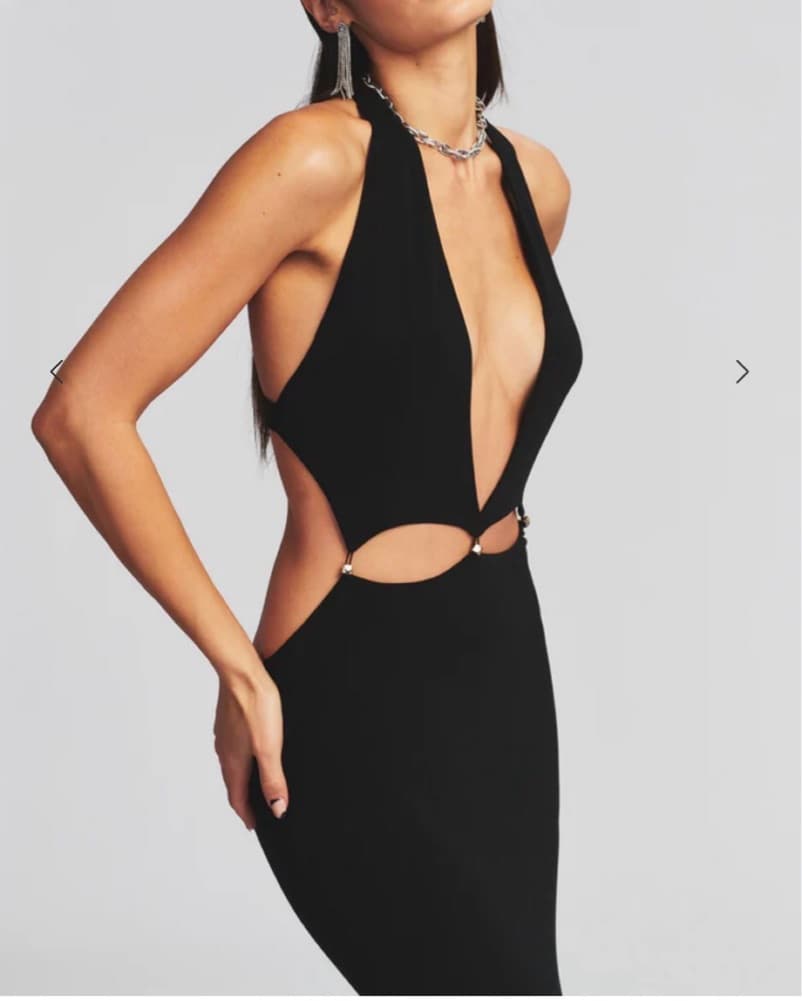 Retrofete Adrianna Backless Maxi Dress  - Image 2