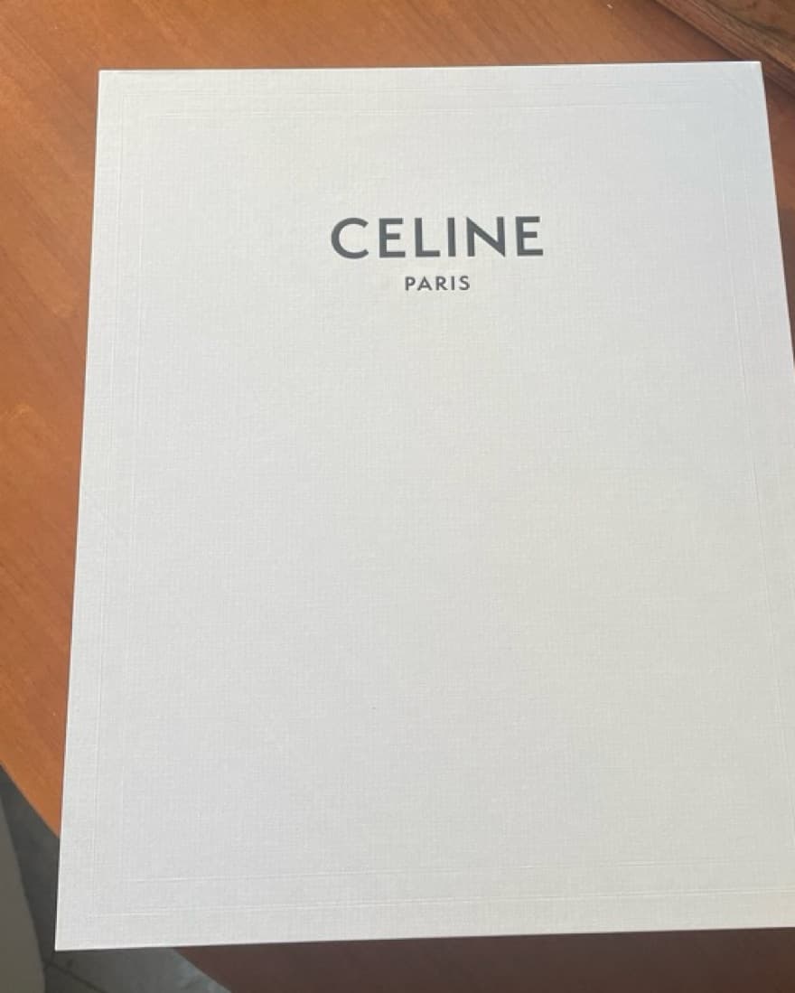 Celine Neutral Printed Spring Scarf - Image 3