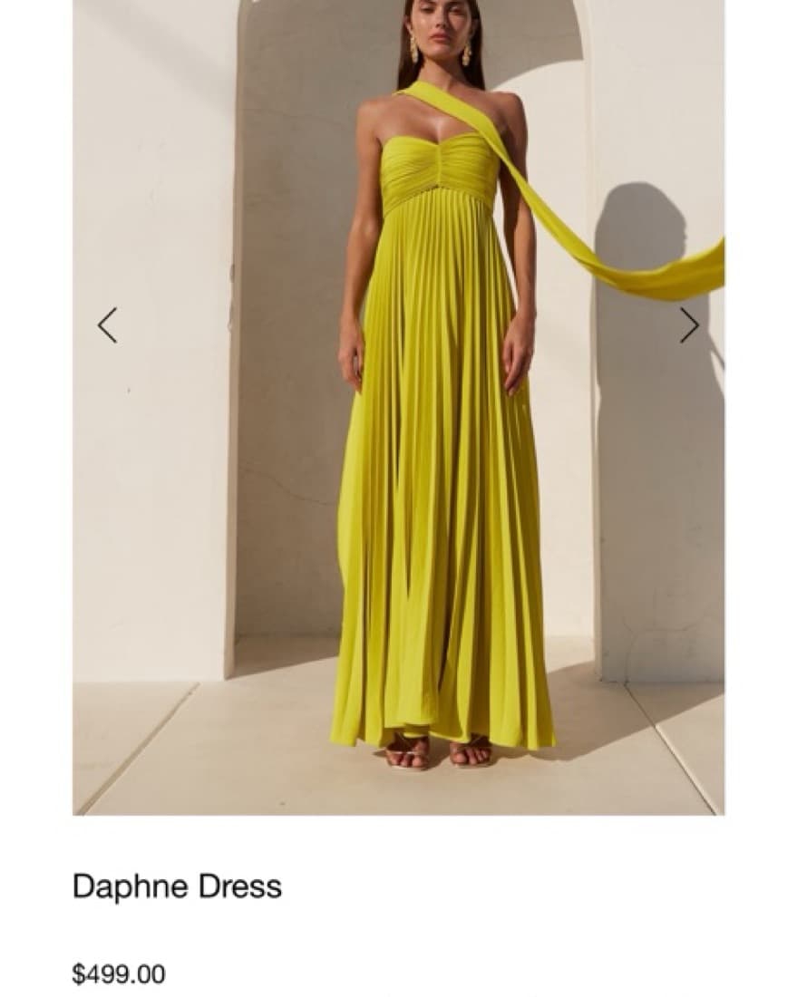 $499 Delfi Collective Daphne dress  - Image 4