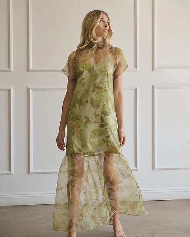 Ellery Floral Dime Organza Maxi Dress - Image 1