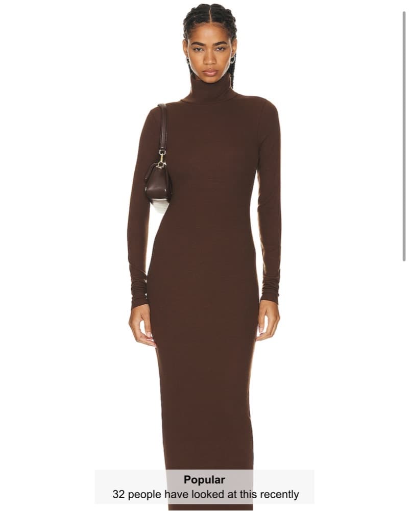 Eterne Brown Turtleneck Dress - Image 1