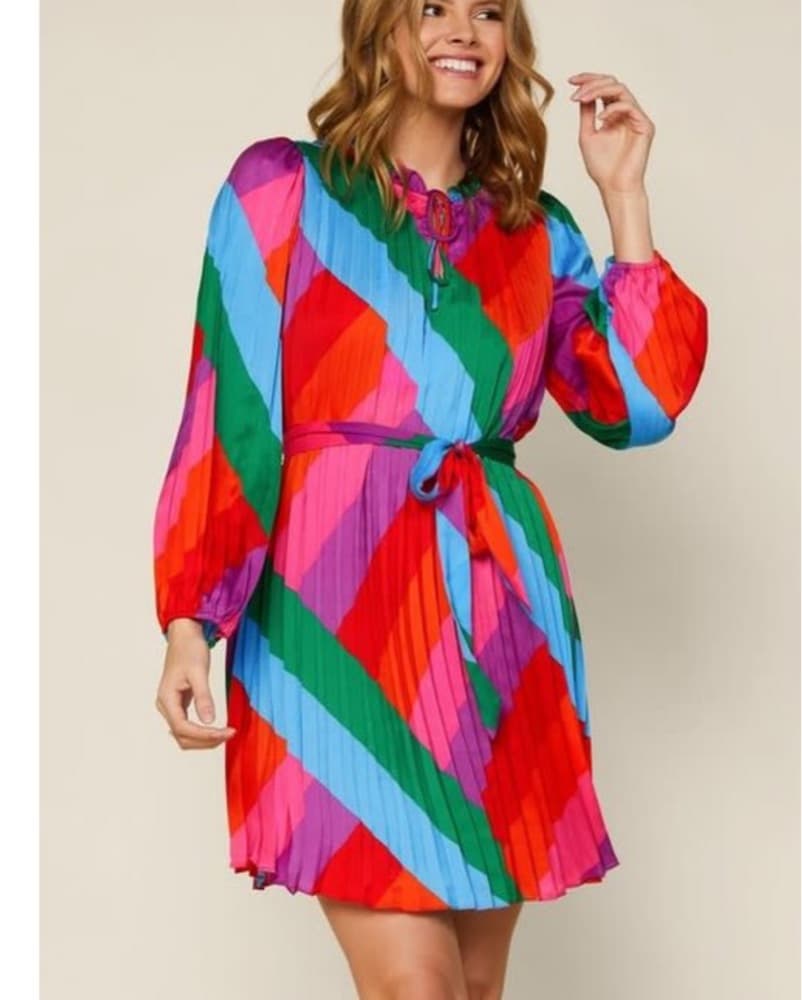 Multicolor Waisted Mini Dress - Image 4