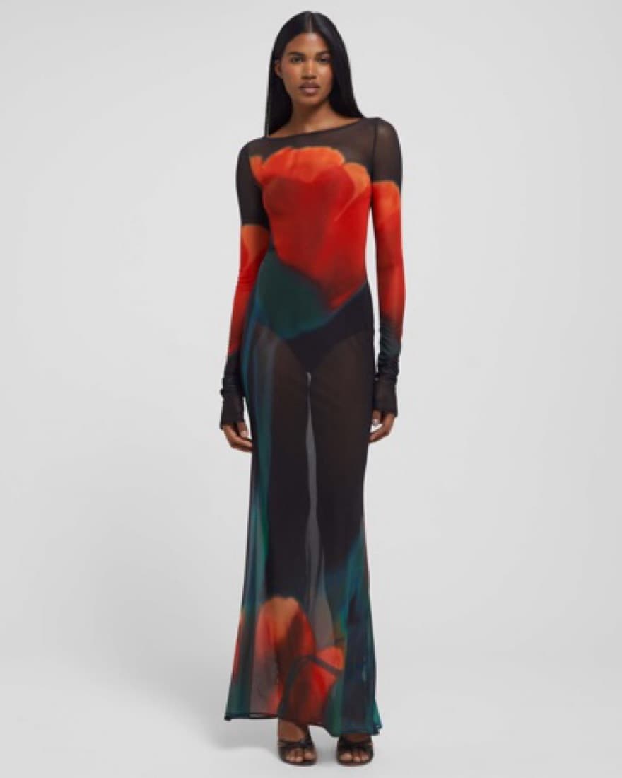 Rat And Boa Long Sheer Dress - Image 1
