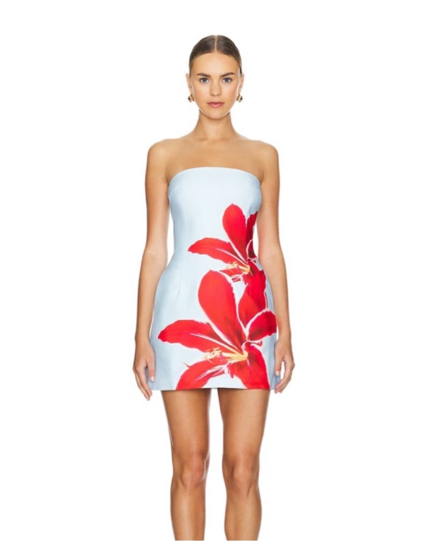 Revolve Mini Dress - Image 1