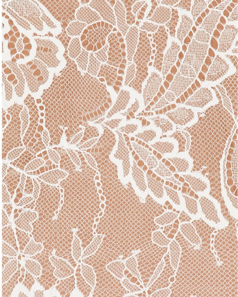 Retrofete Gilana Lace Dress - Image 1