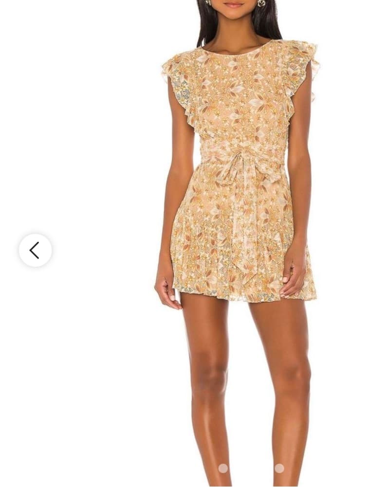 Marnie Mini Dress Lace Dress - Image 2