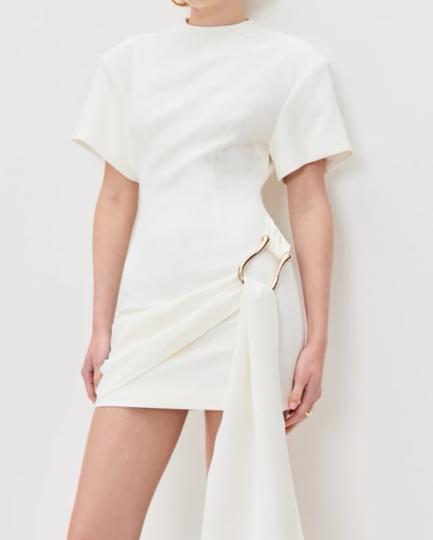 Lioness Dress - Image 1
