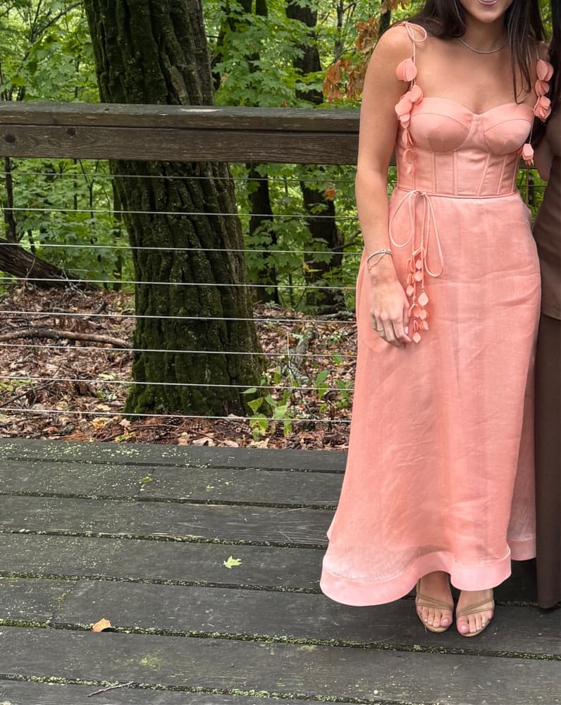 Zimmerman Blush Pink Ruffled Dress - Image 5