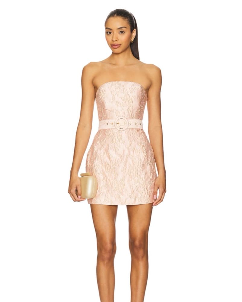 Lovers And Friends Mini Dress Light Pink - Image 1