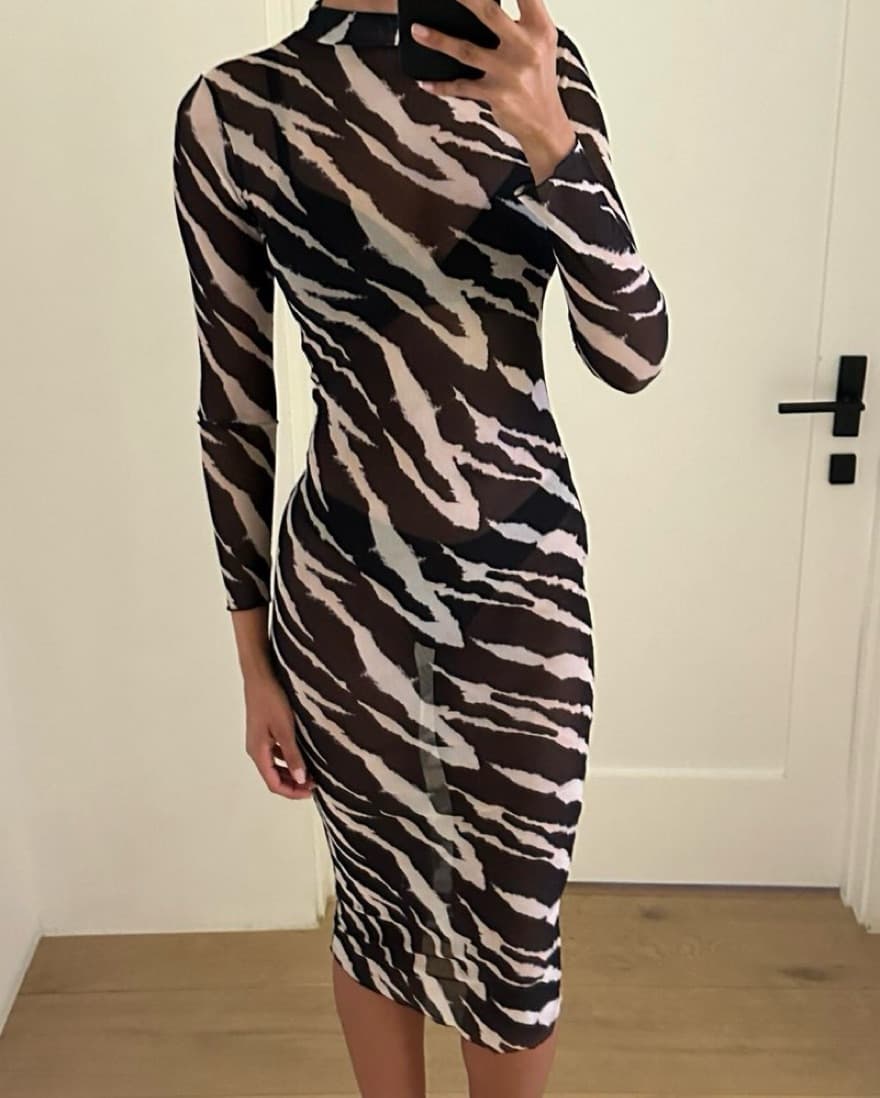 Matte Collection Zebra Print Sheer Dress - Image 2