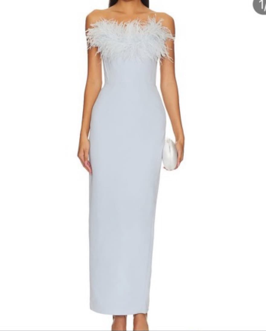 Sau Lee Feather-Trimmed Maxi Dress - Image 1