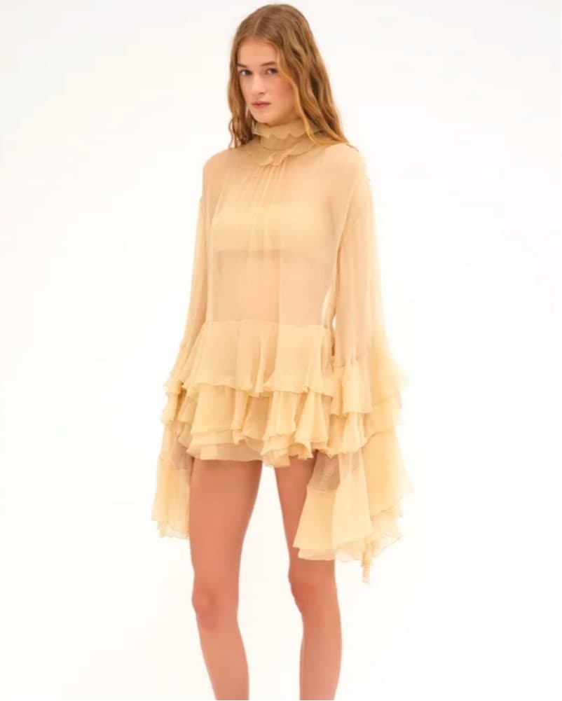 Chloe Ruffled Mini Dress - Image 1