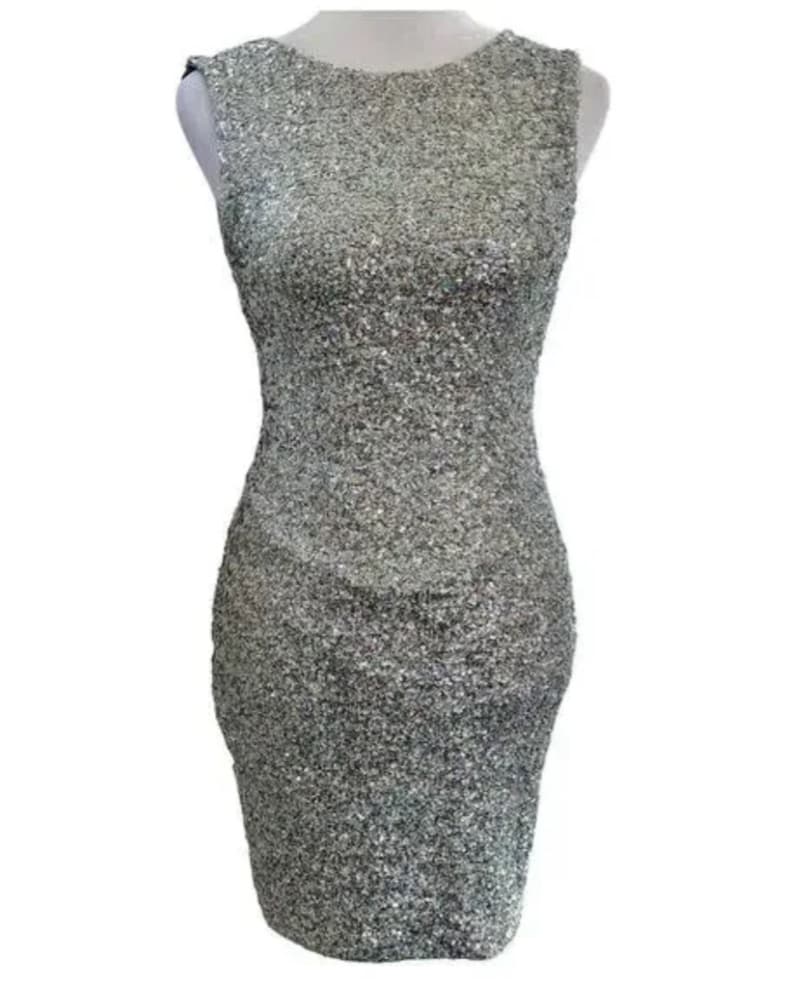 Shimmering Silver Sequin Dress - Image 1