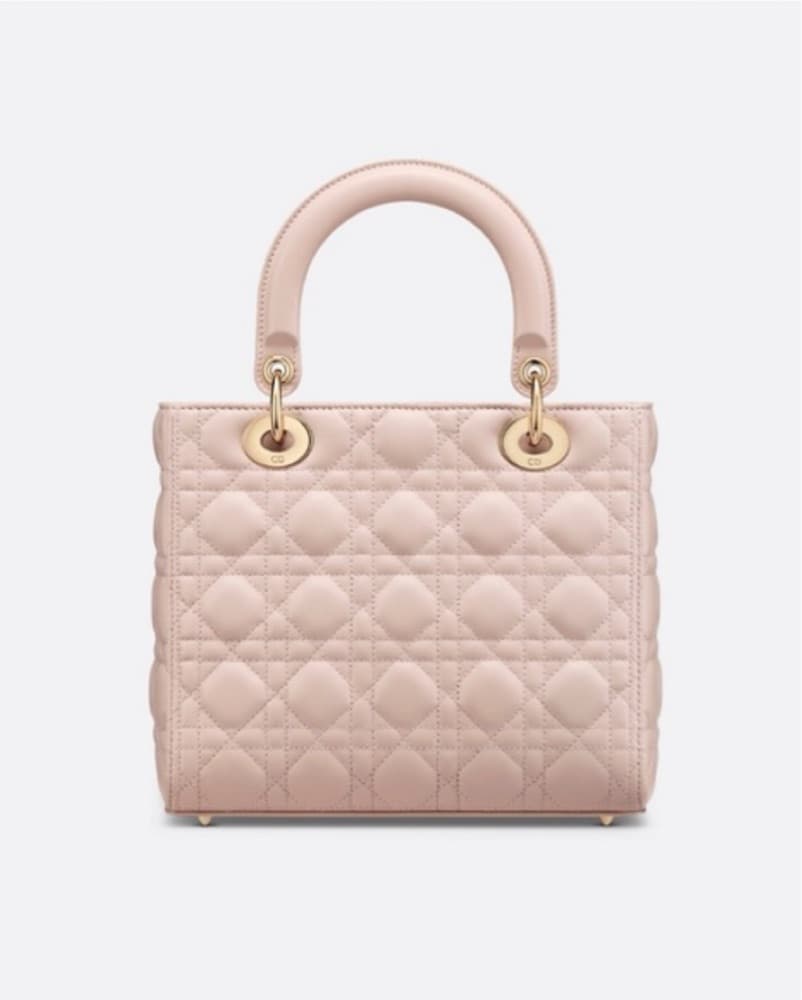 Medium Size Lady Dior With Strap - Image 2