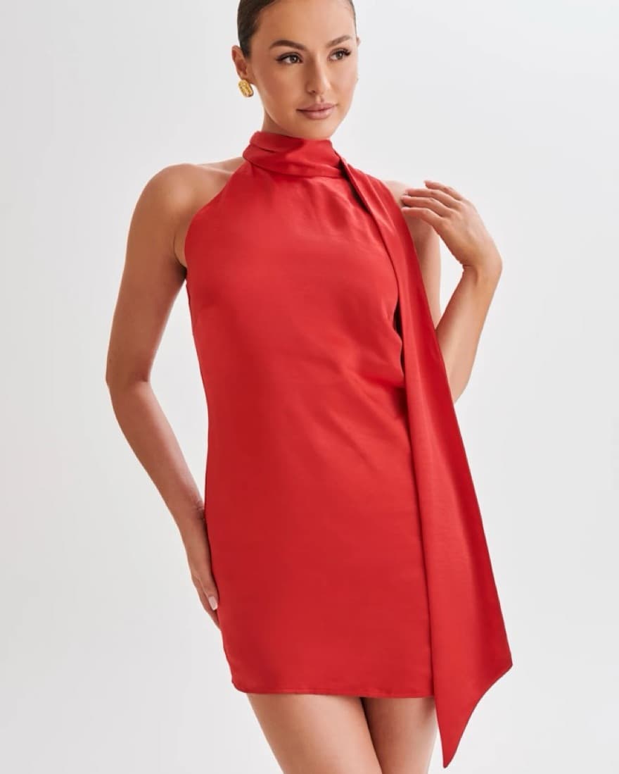 Red Meshki Dress - Image 1