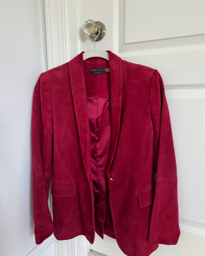 Alice + Olivia Suede Blazer - Image 3