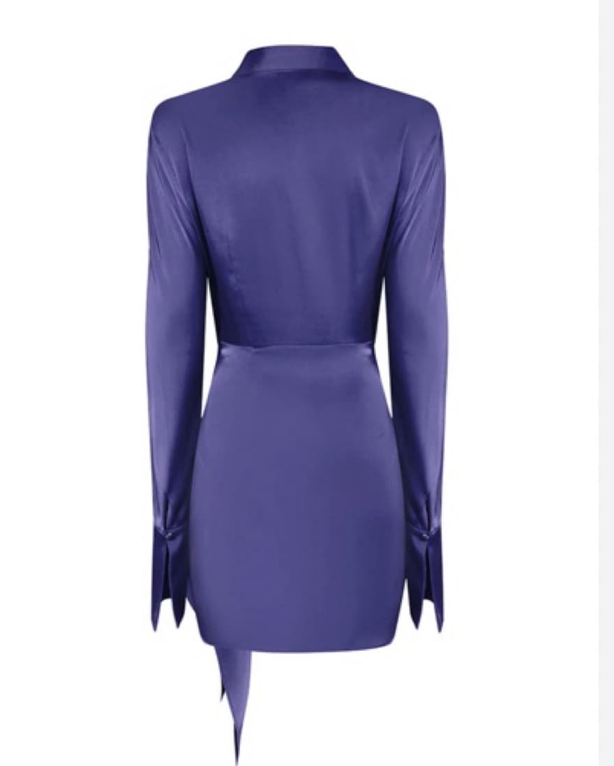 Rat and Boa Purple Silk Mini Dress  - Image 2