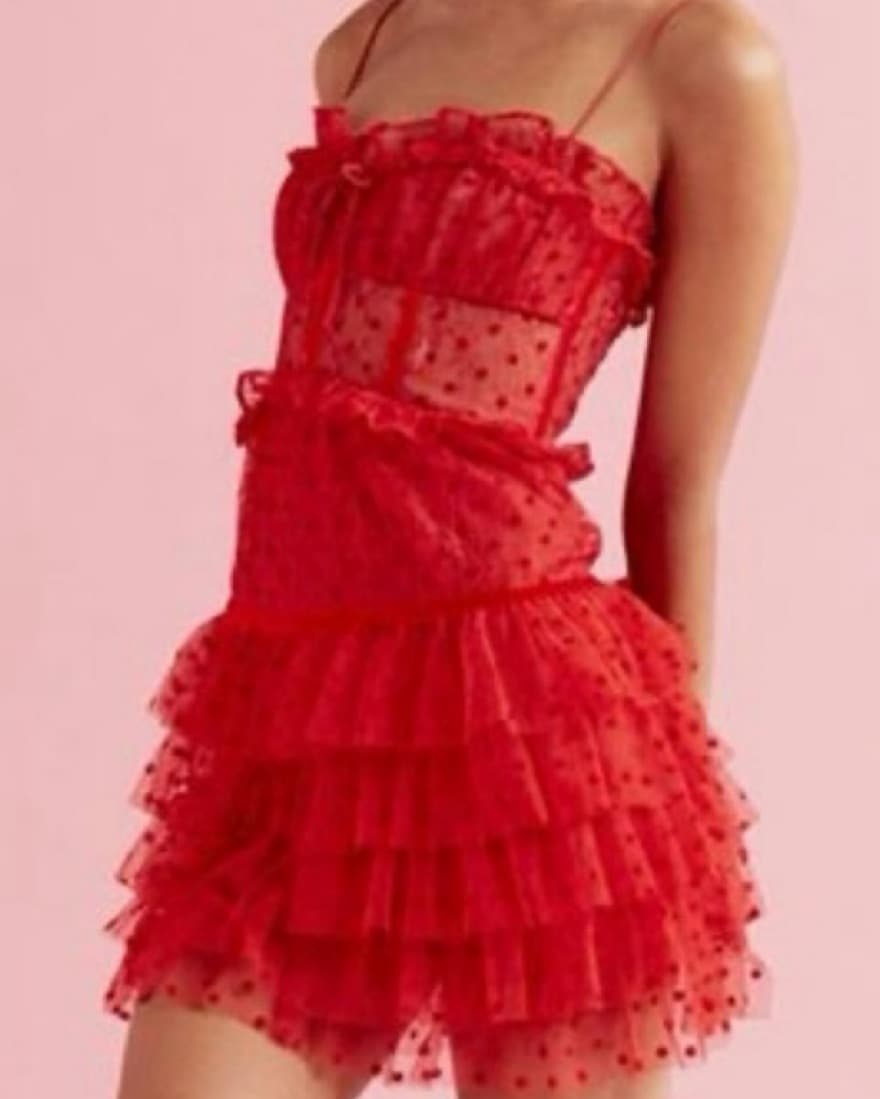 For Love & Lemons Dress - Image 2