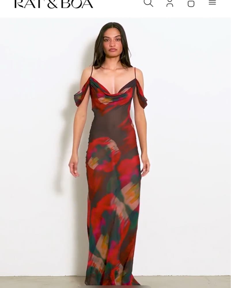 Vibrant Rat & Boa Sheer Maxi Dress - Image 1