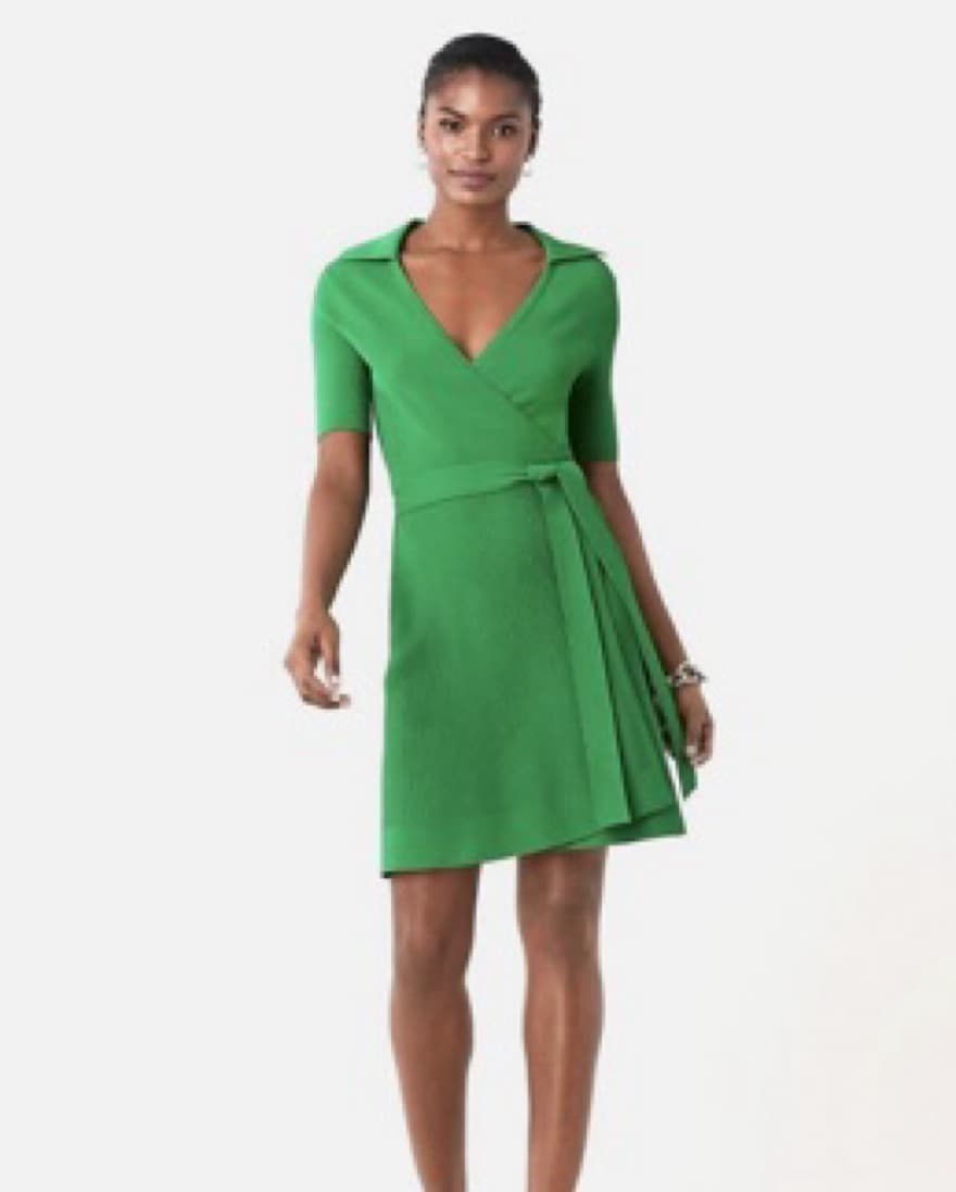 Diane Von Furstenberg Wrap Dress - Image 1