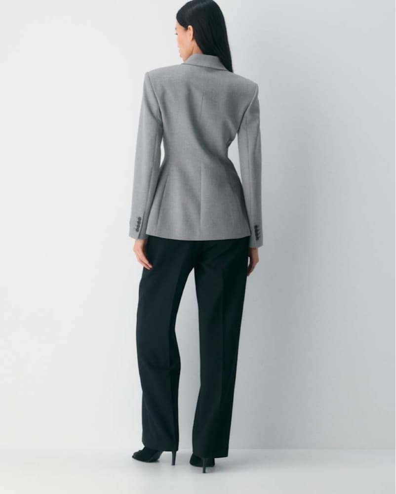 Babaton Aritzia Standout Blazer - Image 4