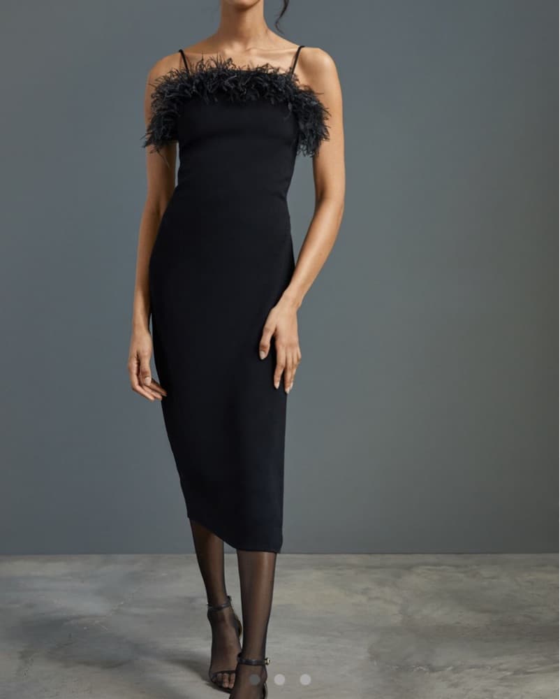 Black Midi Dress With Feathers - Image 1