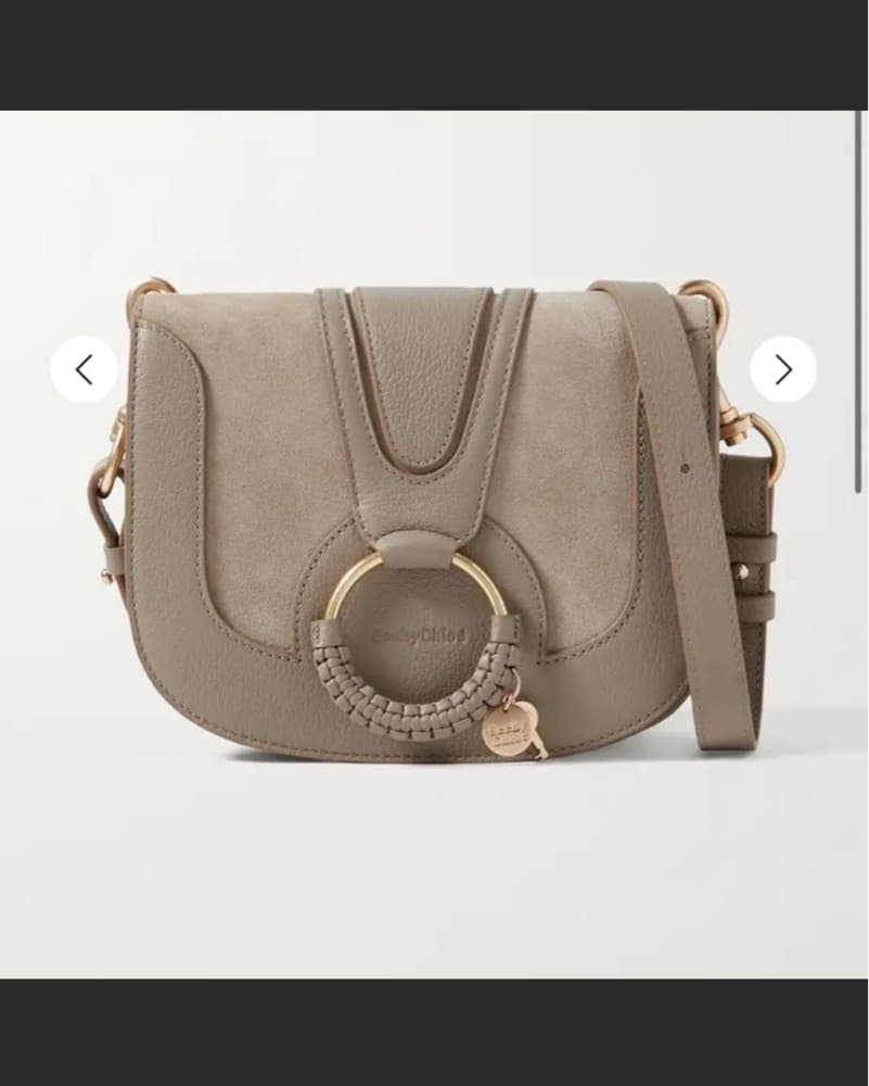 Chloe Hana Suede & Leather Bag - Image 4